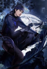 《流星坠落之夜的来客》