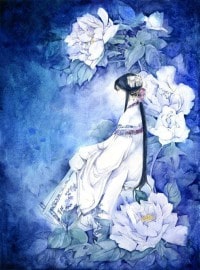 《海贼之流浪剑豪》