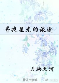 寻找星光的旅途