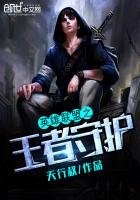 《英雄联盟之王者守护》