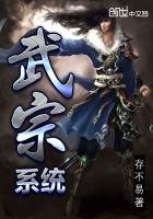《武宗系統》