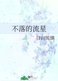 不落的流星