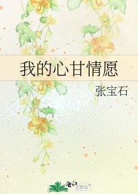 我的心甘情願