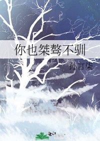 你也桀骜不驯