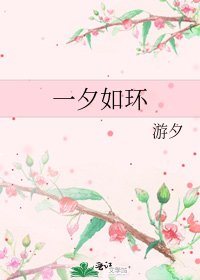 《一夕如環》
