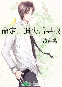 《命定:遗失后寻找》
