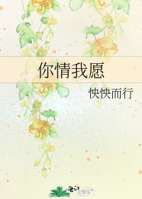 你情我願