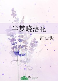 《半夢曉落花》