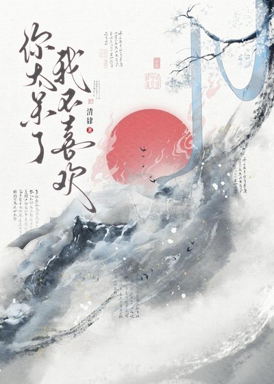 《你太呆了,我不喜欢》