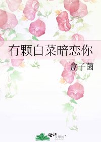 有颗沙菜暗恋你
