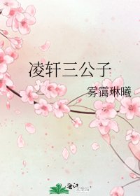 凌轩三公子