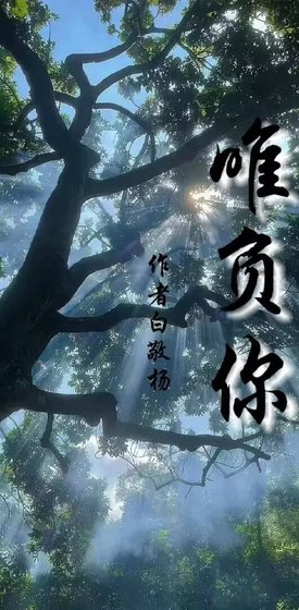 《唯负你》