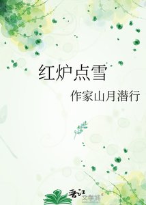 红炉点雪