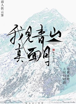 我见青山真面目