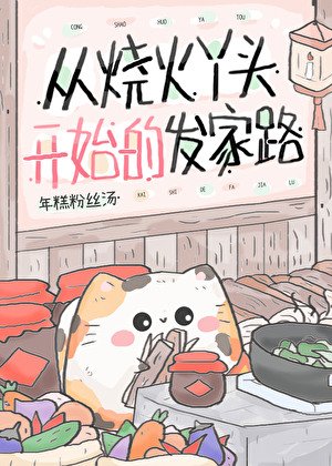 《从烧火丫头开始的发家路》