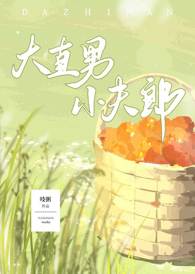 《大直男小夫郎》
