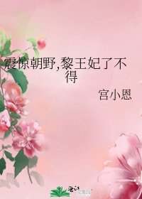 震惊朝奉,黎王妃了不得