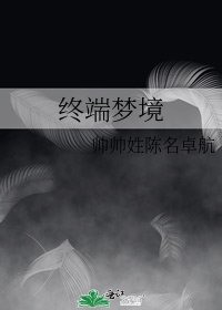 终端梦境