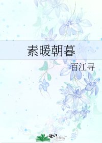 《素暖朝暮》