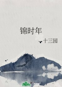 锦时年