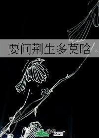 要问荆生多莫晗