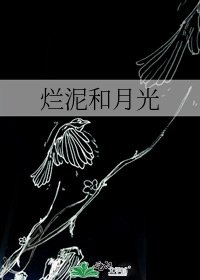 《烂泥和月光》