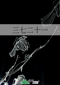 《三七二十一》