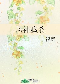 《风神鸦杀》