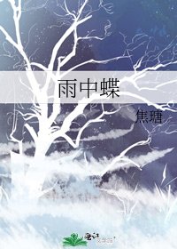 《雨中蝶》
