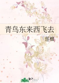 青鸟东来西飞去