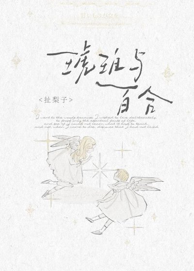 《琥珀与百合》